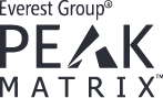 Everest Group PEAK Matrix